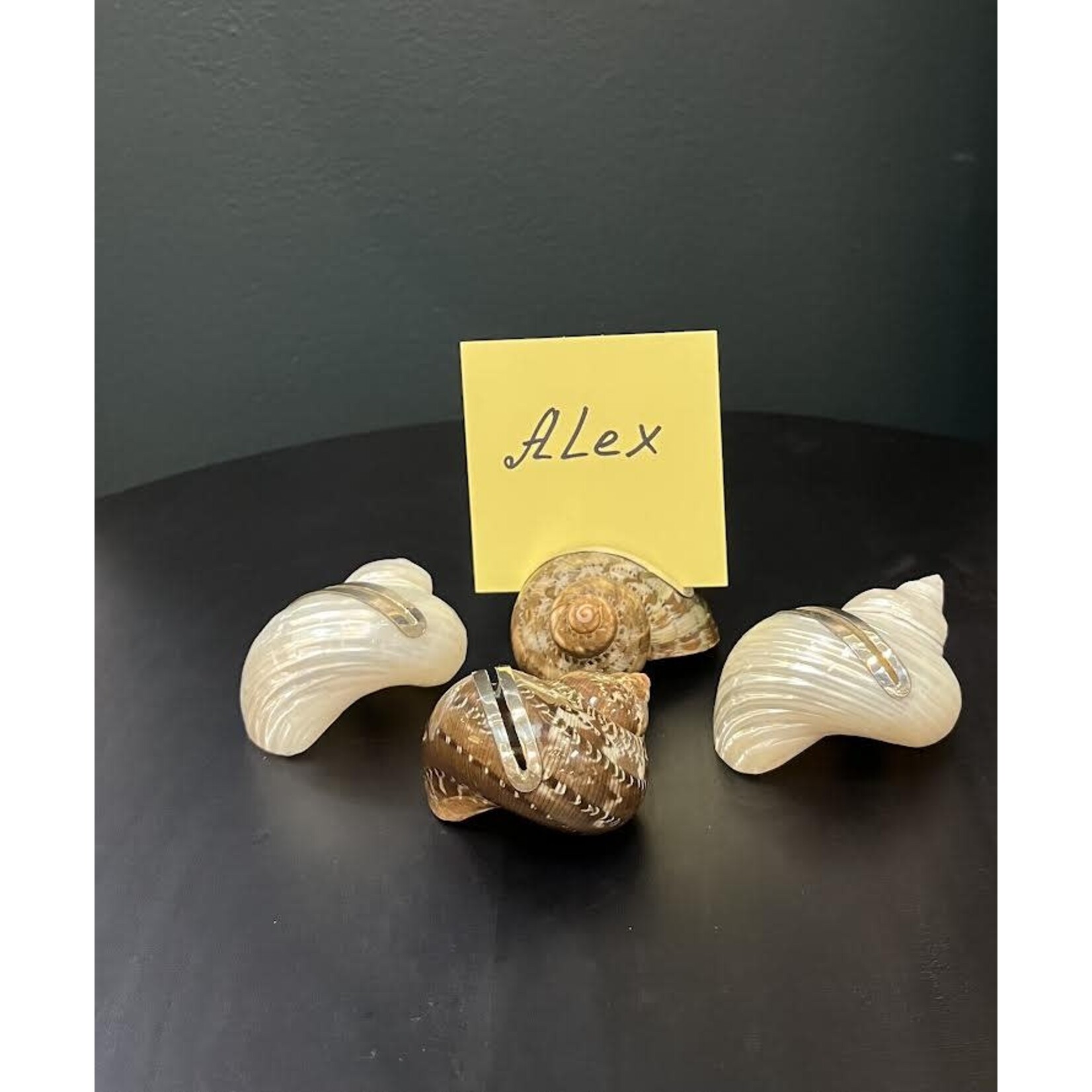 Two's Company Seashell Turbo Place Card Holder