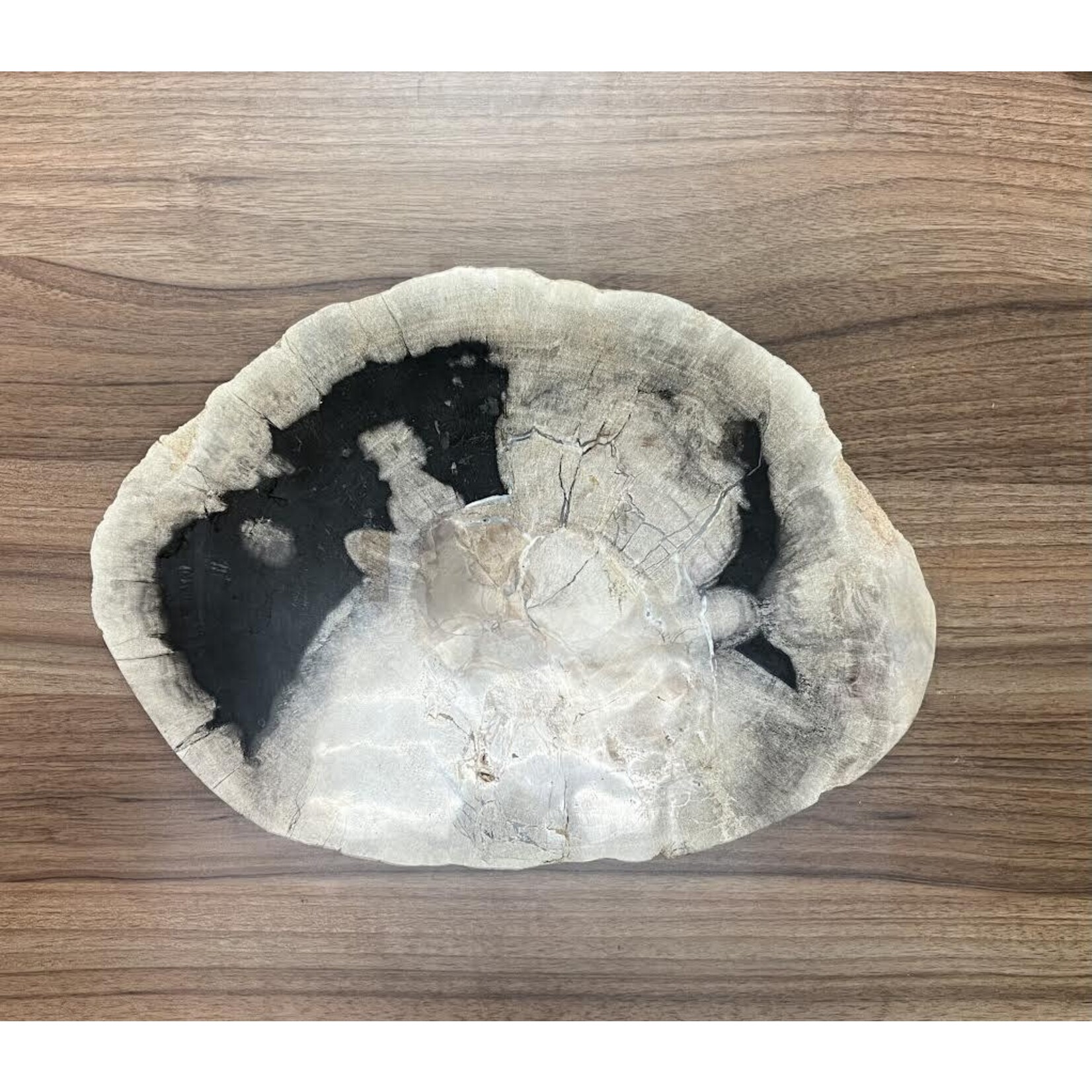 Asian Loft Petrified Oval Plate