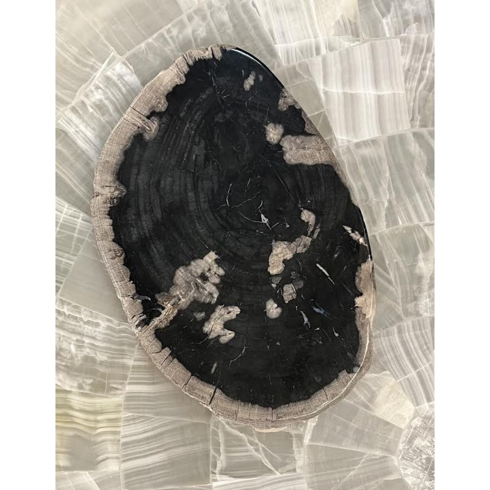 Asian Loft Petrified Oval Plate