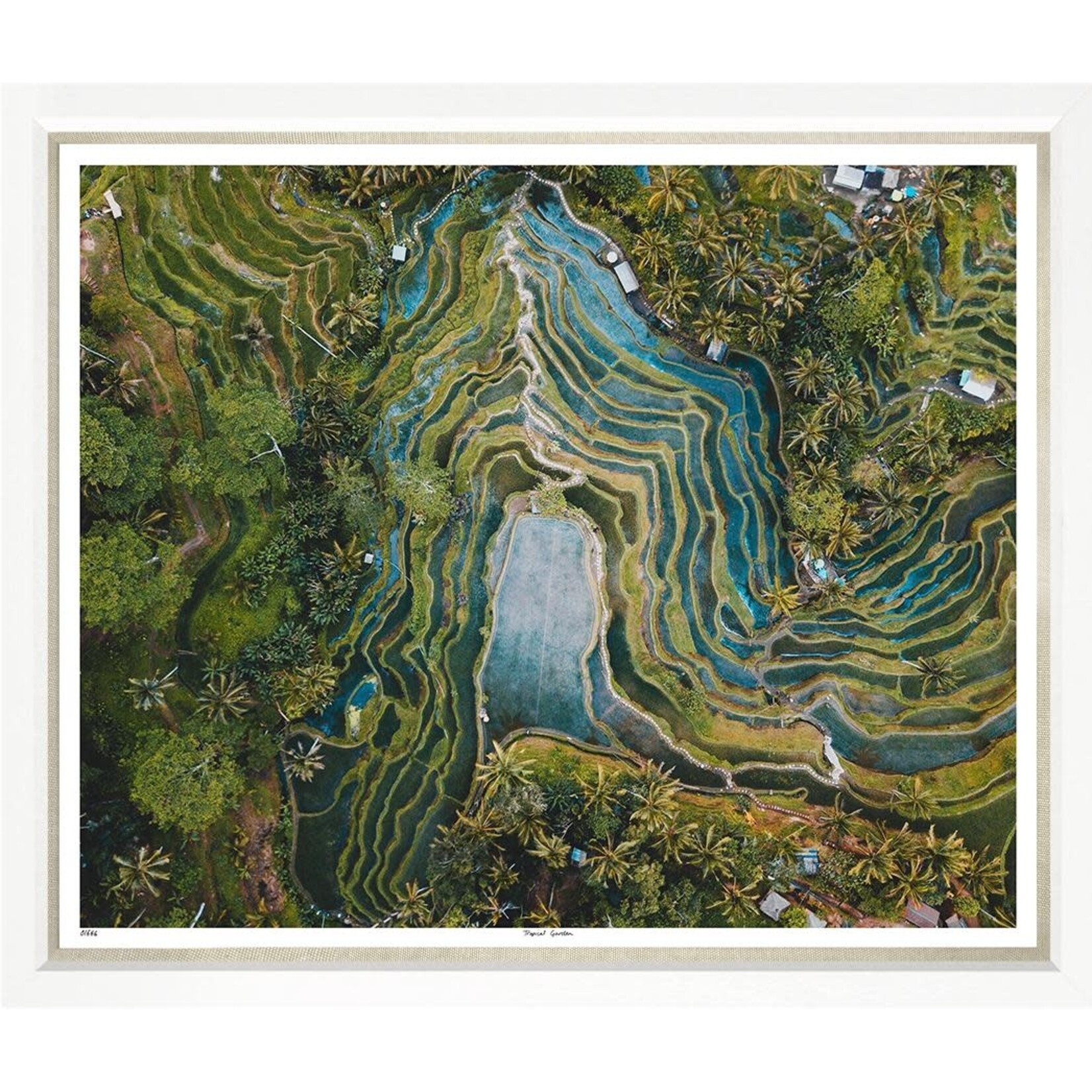 Trowbridge Gallery Tropical Garden Framed Artwork