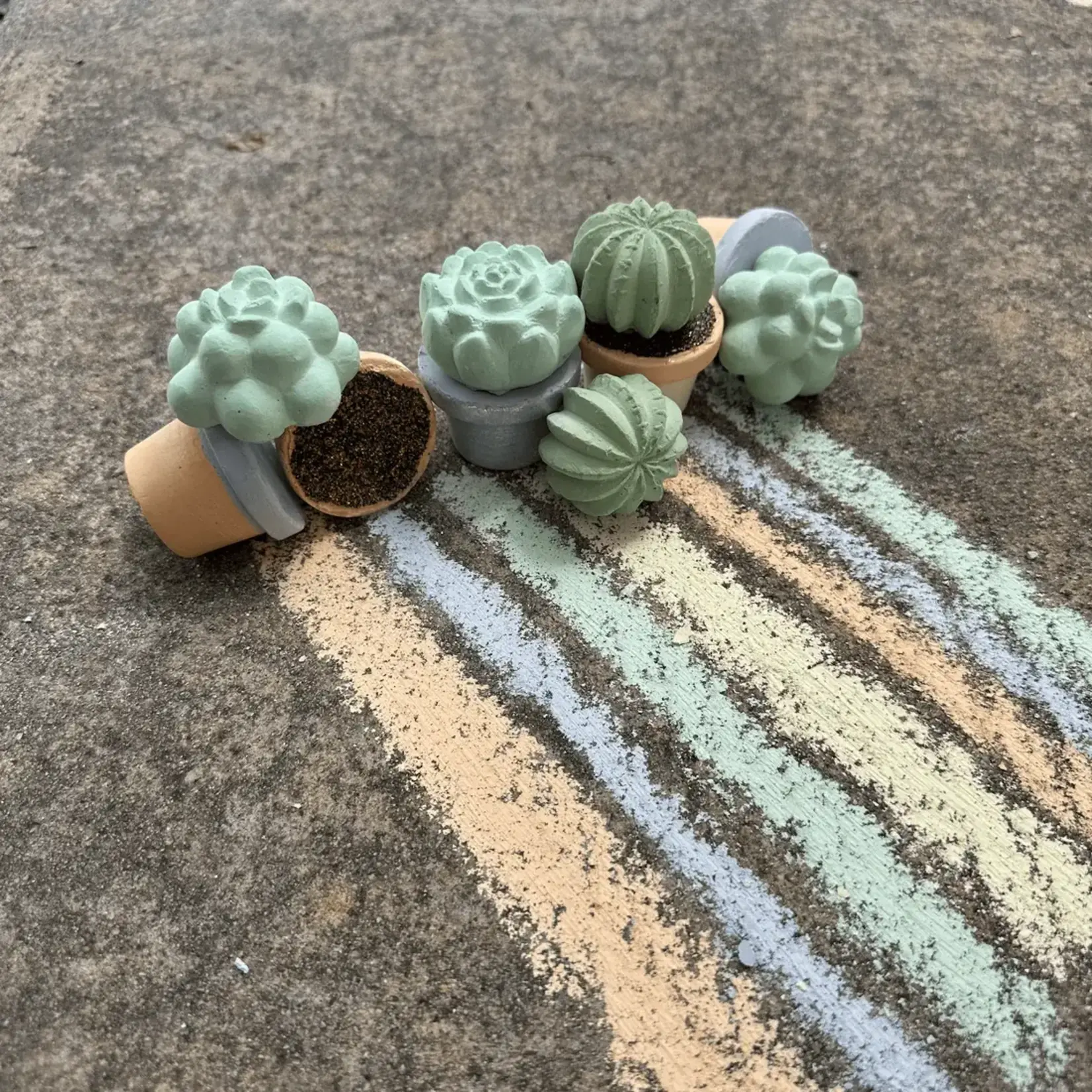 TWEE made for little hands Maya & Siona's Succulents Handmade Sidewalk Chalk
