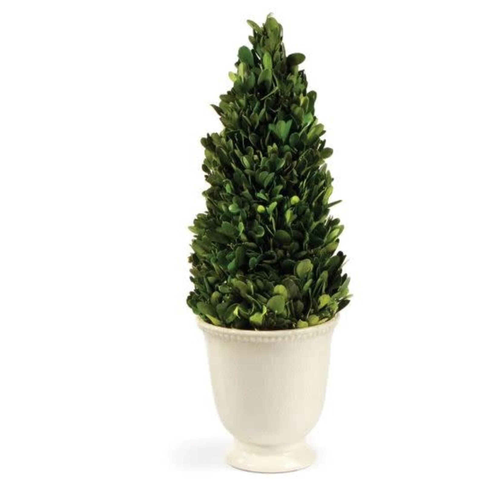 Napa Home and Garden Boxwood Cone In Beaded White Pot