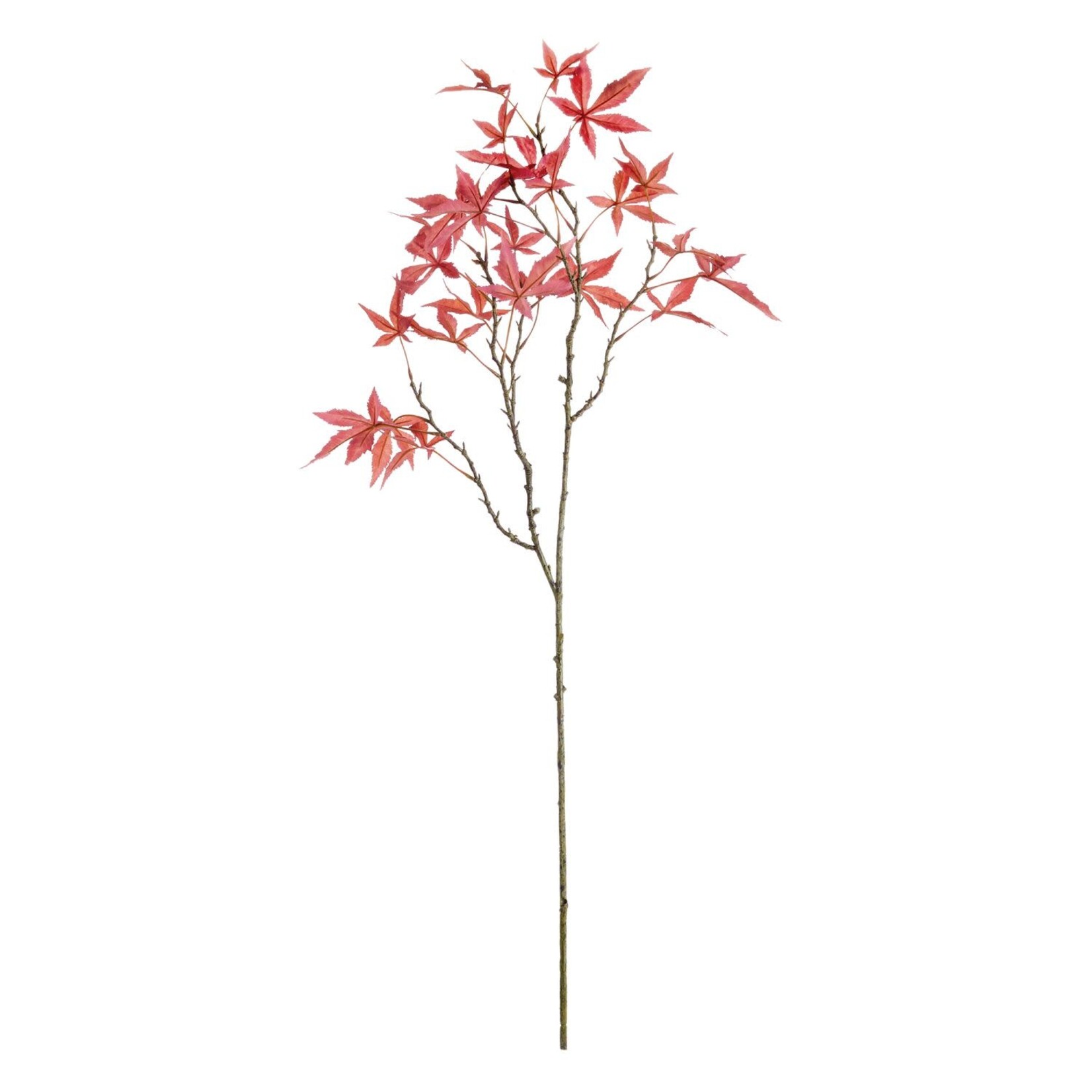 Napa Home and Garden Maple Leaf Branch 43" Rust