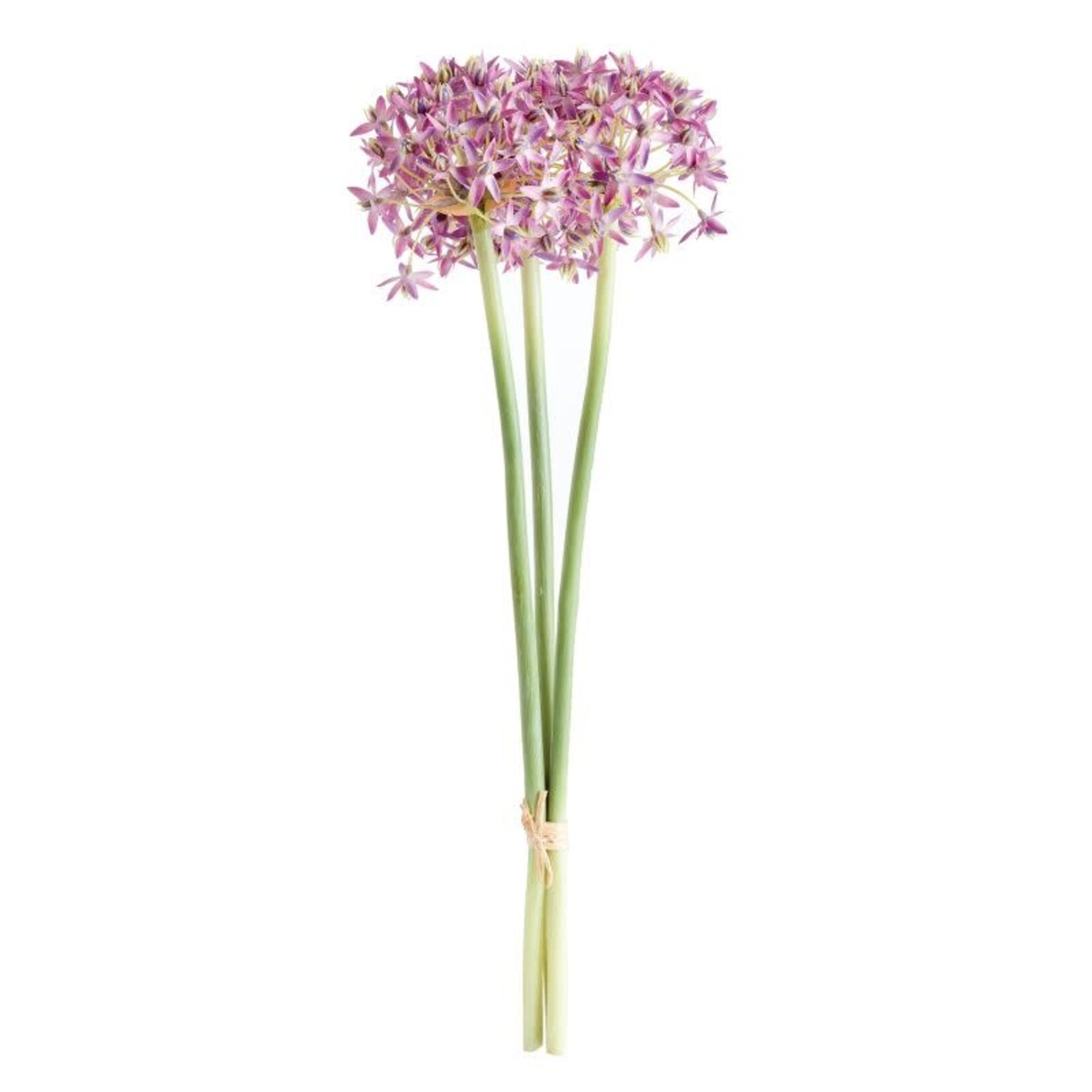 Napa Home and Garden Allium Stems 19" Lavender Bundle of 3