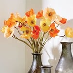 Napa Home and Garden Orange Poppies 27" Bundle of 6