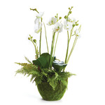 Napa Home and Garden White Phalaenopsis & Fern Drop In 18"
