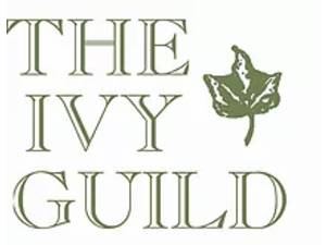 The Ivy Guild