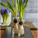 Texxture Wabisabi Bulb Glass Forcer 7.4"