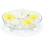 Wildwood Floating Glass Disc