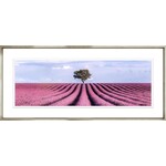 Trowbridge Gallery Colourful Tree Collection Field of Lavender Framed Artwork 6