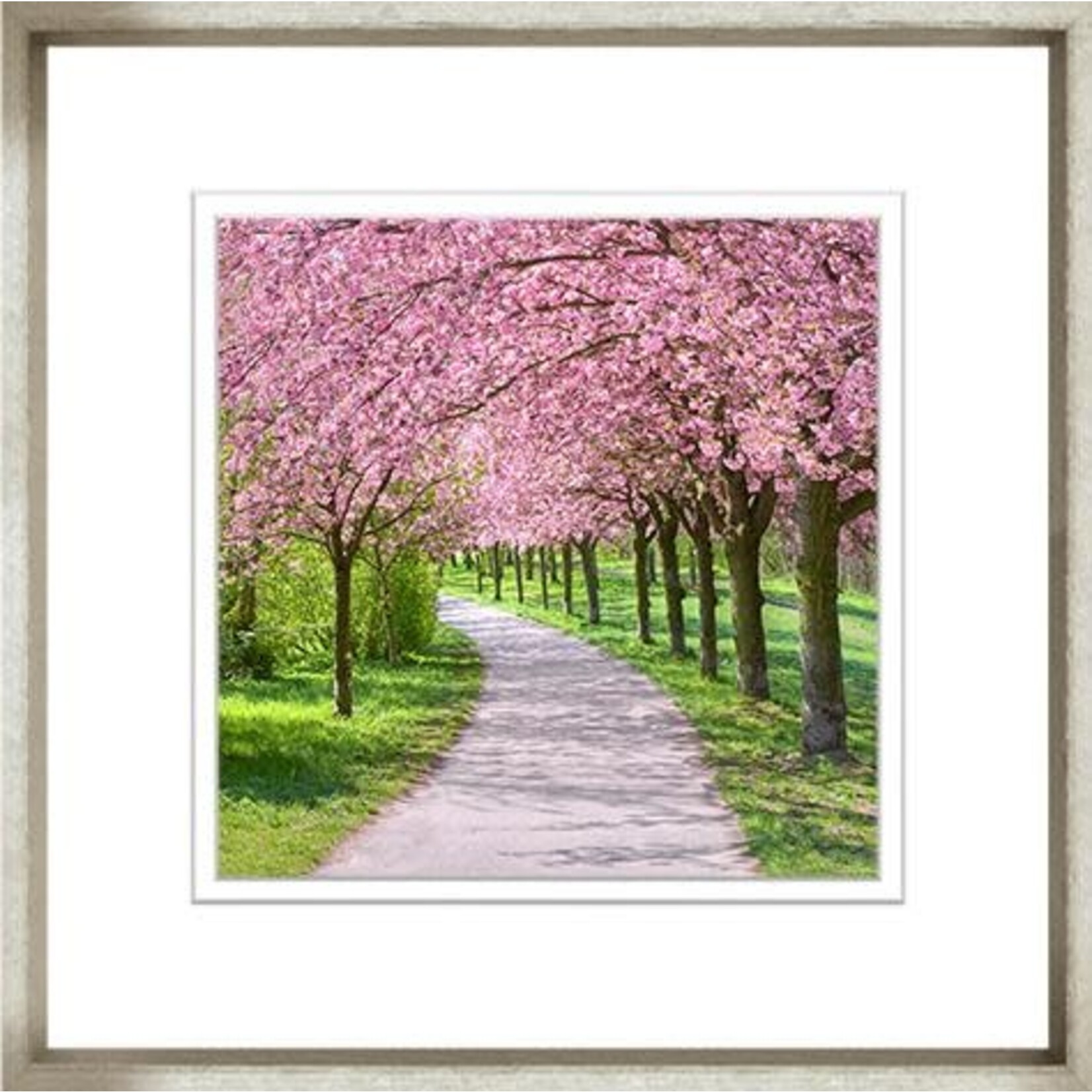 Trowbridge Gallery Colourful Tree Collection Pink Cherry Trees Framed Artwork 7