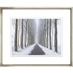 Trowbridge Gallery Colourful Tree Collection Winter Tree Line Framed Artwork 8