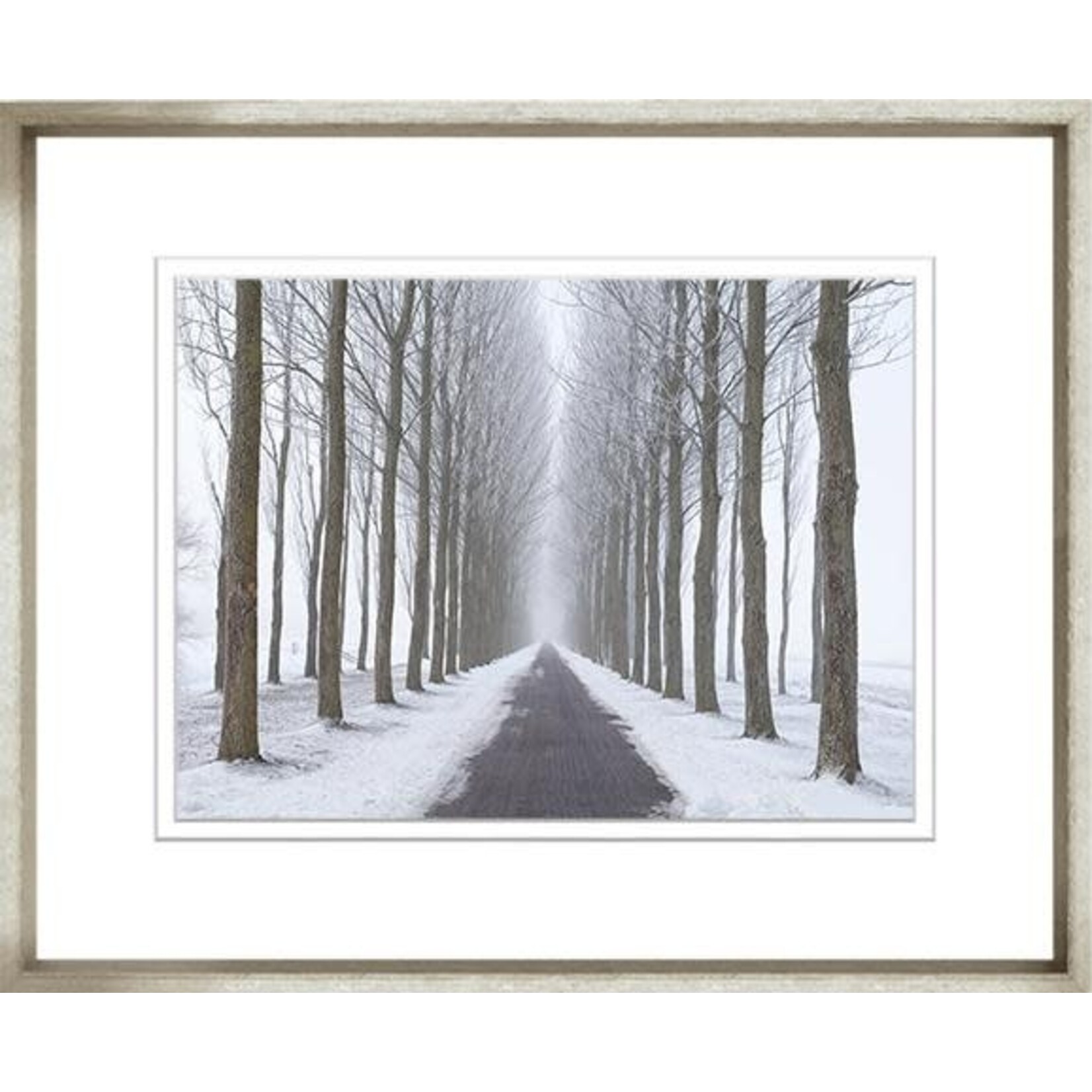 Trowbridge Gallery Colourful Tree Collection Winter Tree Line Framed Artwork 8