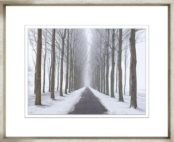 Trowbridge Colourful Tree Collection Winter Tree Line Framed Artwork 8 ...