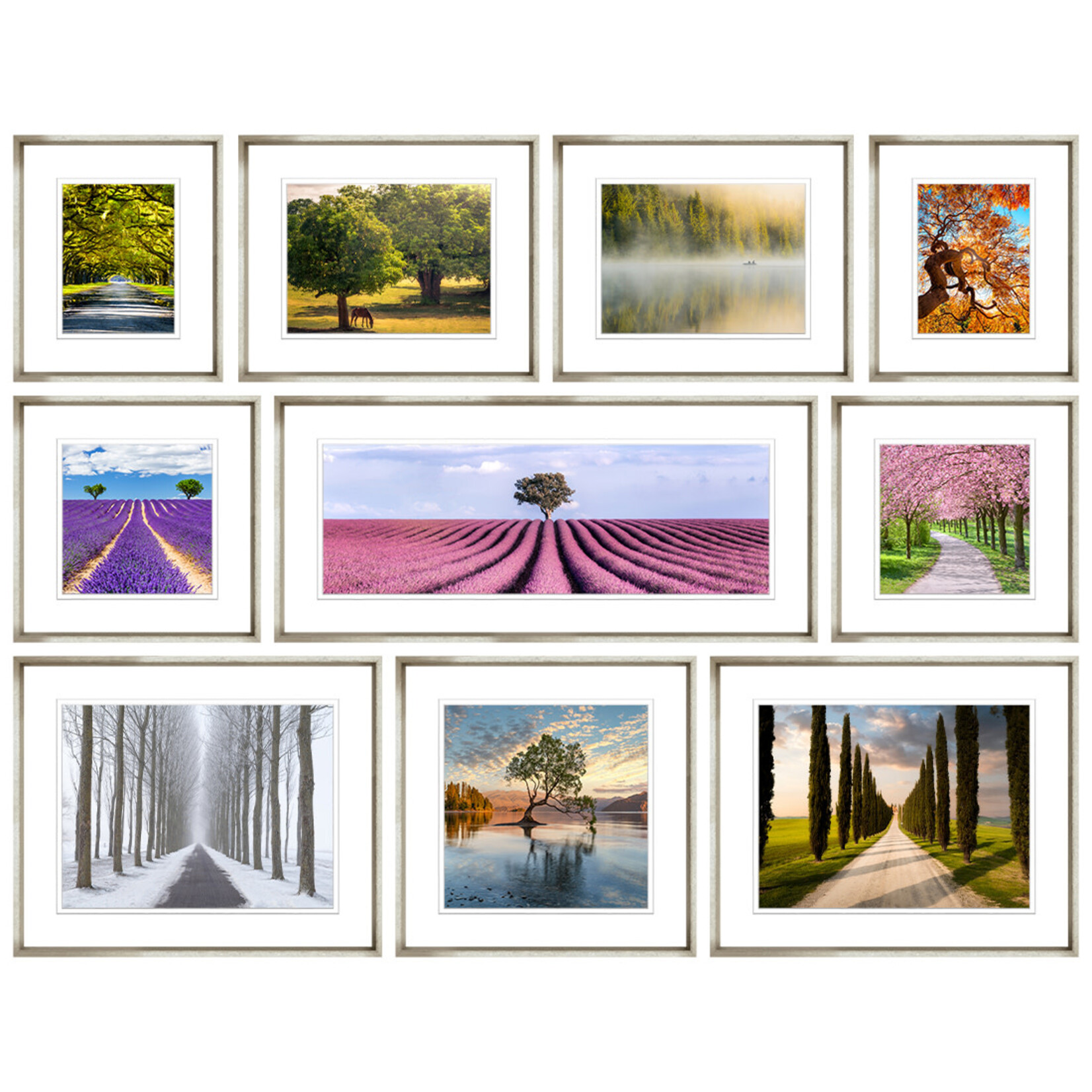 Trowbridge Gallery Colourful Tree Collection Winter Tree Line Framed Artwork 8
