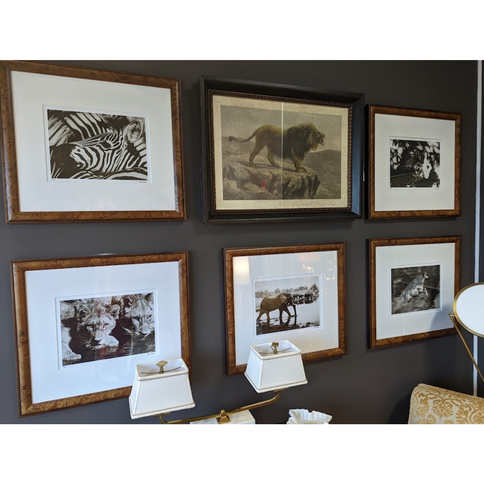 Trowbridge Gallery Lions Drinking  Safari Framed  Art Print