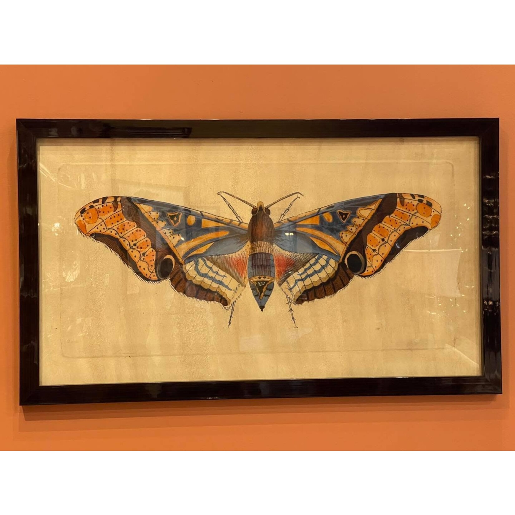 Wendover Art Group Grand Moth II Framed Artwork