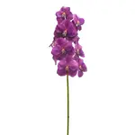 Winward Floral & Seasonal Decor Vanda Orchid