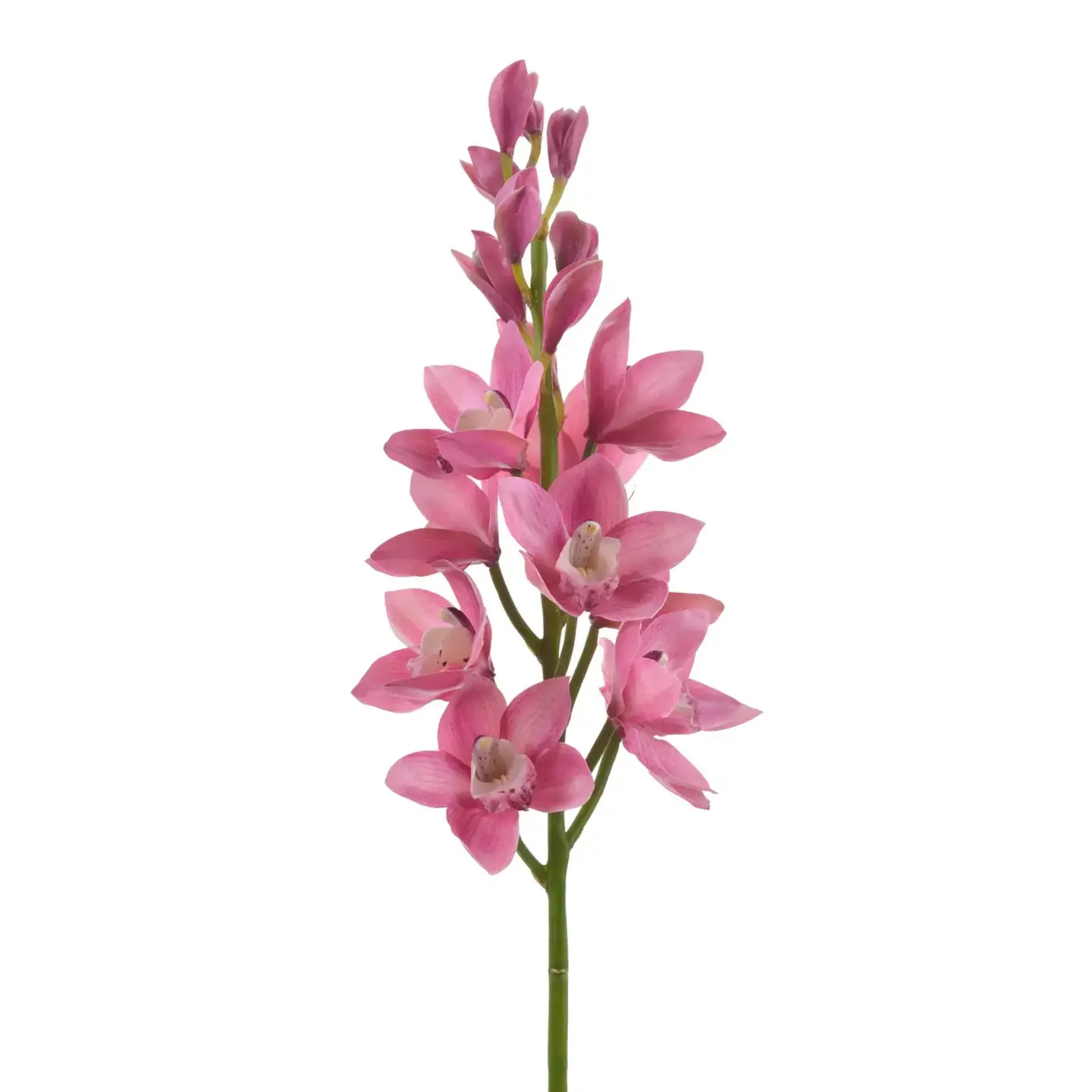 Winward Floral & Seasonal Decor Artificial Pink Orchid Cymbidium Stem 35"
