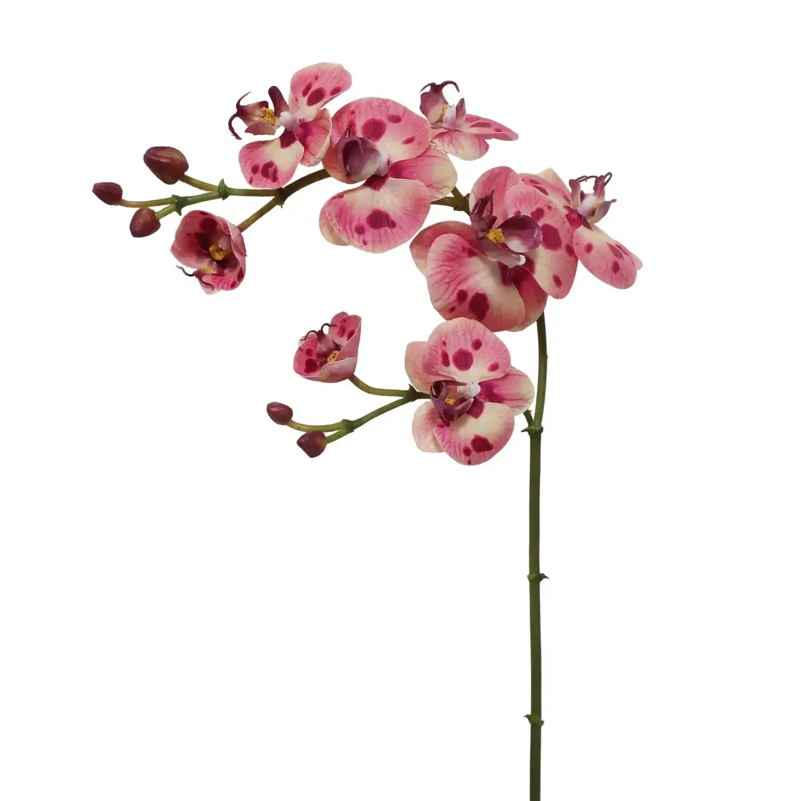 Winward Home Artificial Pink Phalaenopsis Orchid Stem 33"
