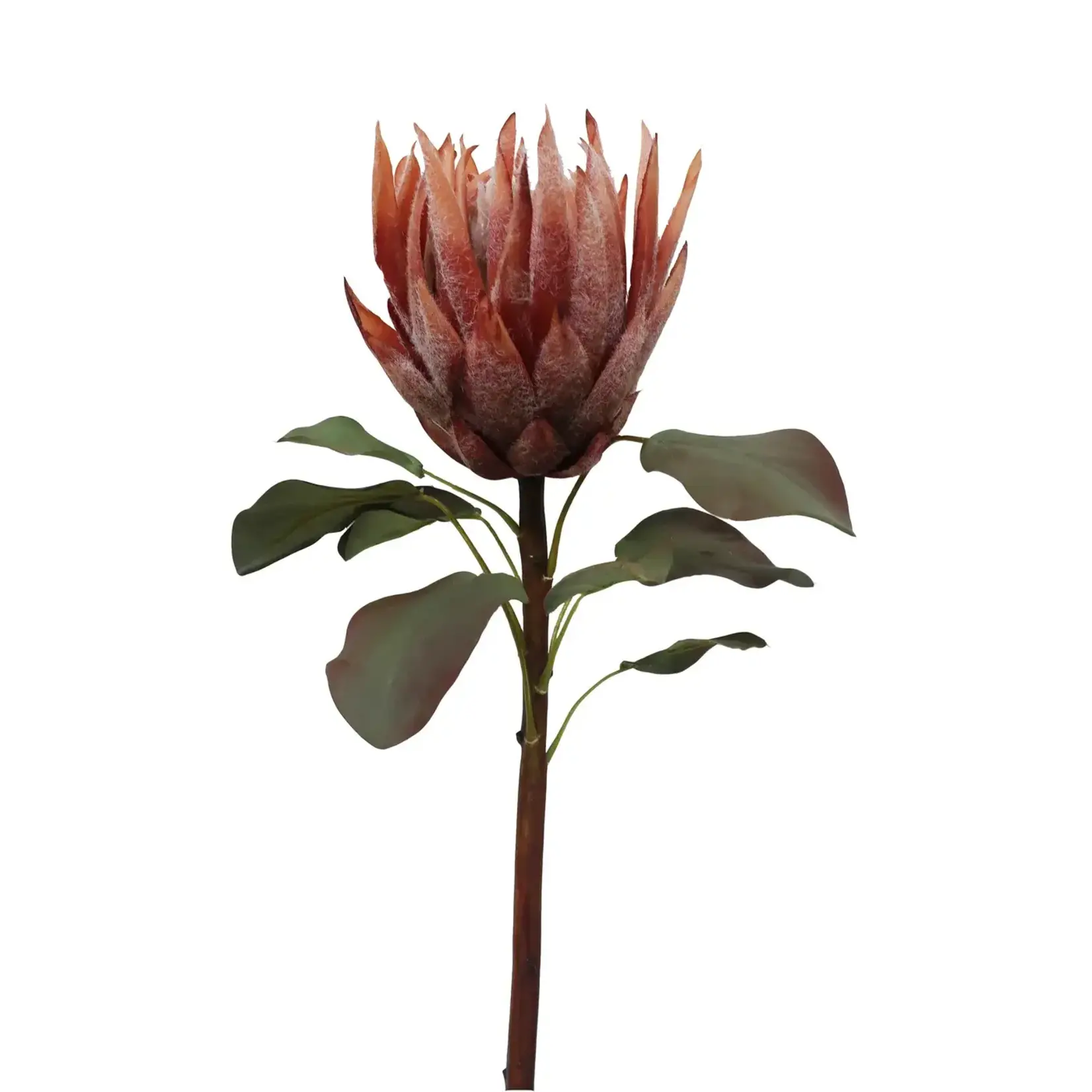 Winward Floral & Seasonal Decor King Protea 23.5" Faux Stem