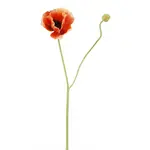 Winward Floral & Seasonal Decor Poppy
