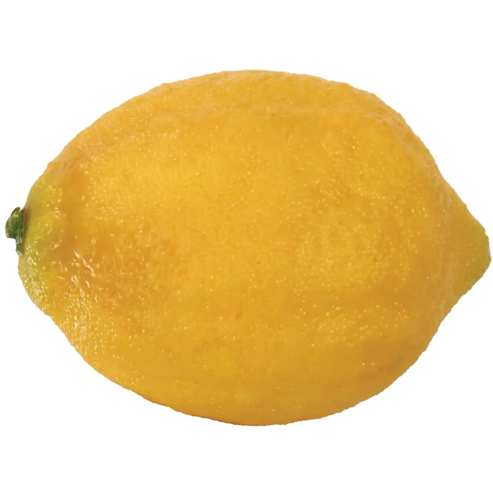 Winward Floral & Seasonal Decor Eureka Lemon