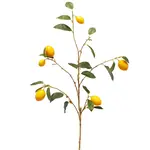 Winward Floral & Seasonal Decor Lemon Branch 37.5"