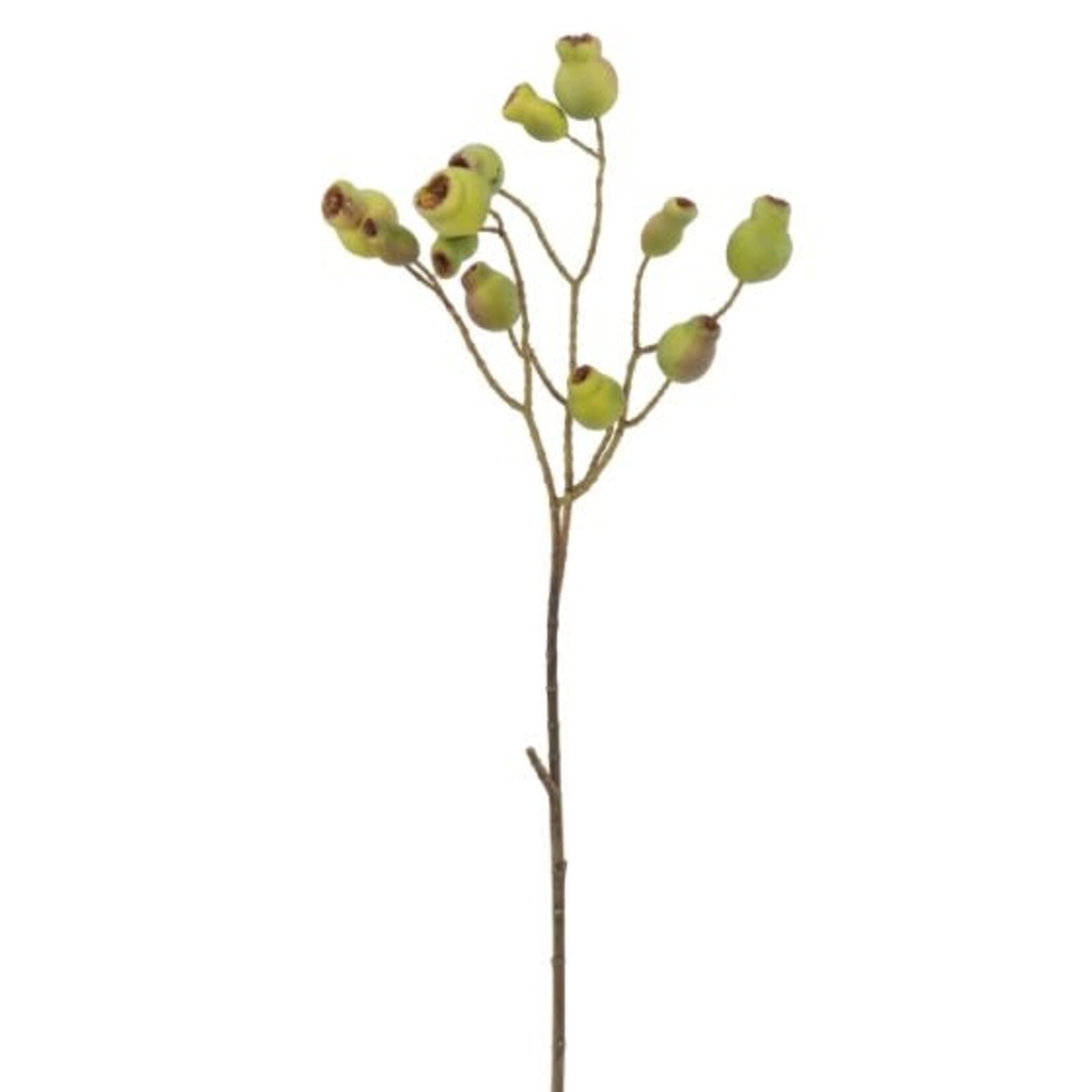 Winward Home Artificial Eucalyptus Green Pod Spray Branch 24.5"