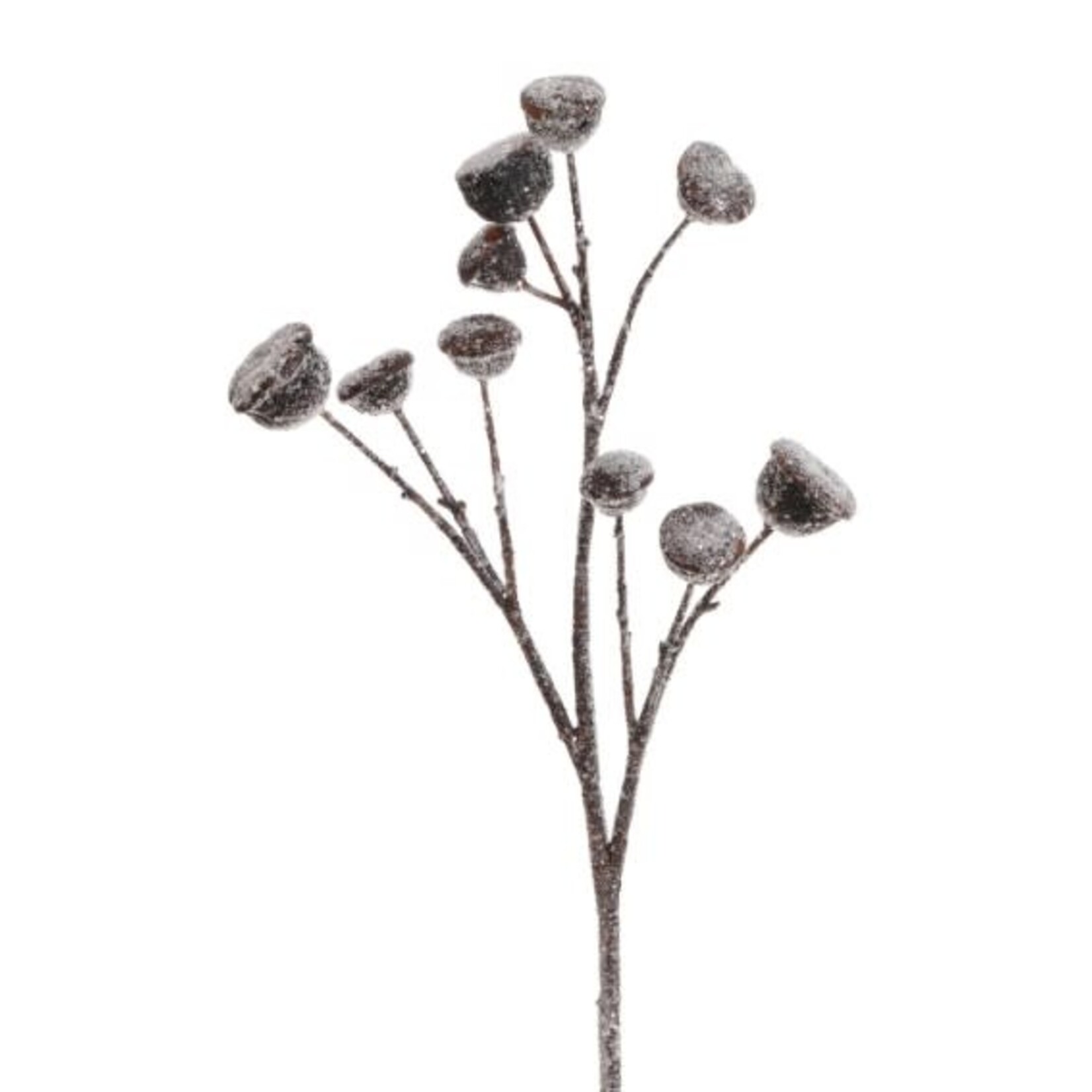 Winward Floral & Seasonal Decor Artificial Ling Black Pod Stem Spray 18"