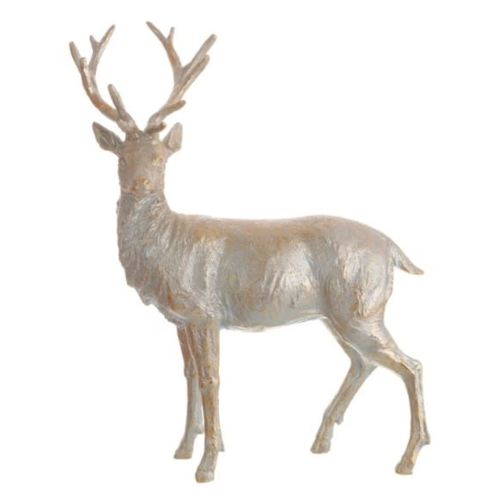 Jim Marvin Enterprises Stag