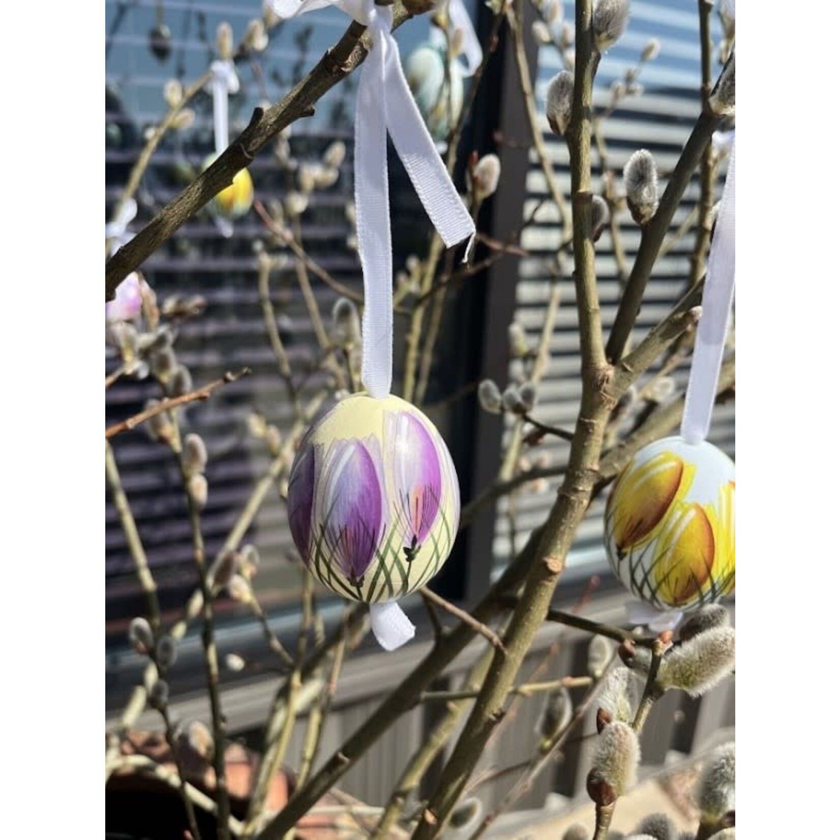 Peter's Seasons Hand Painted & Decorated Real Easter Egg