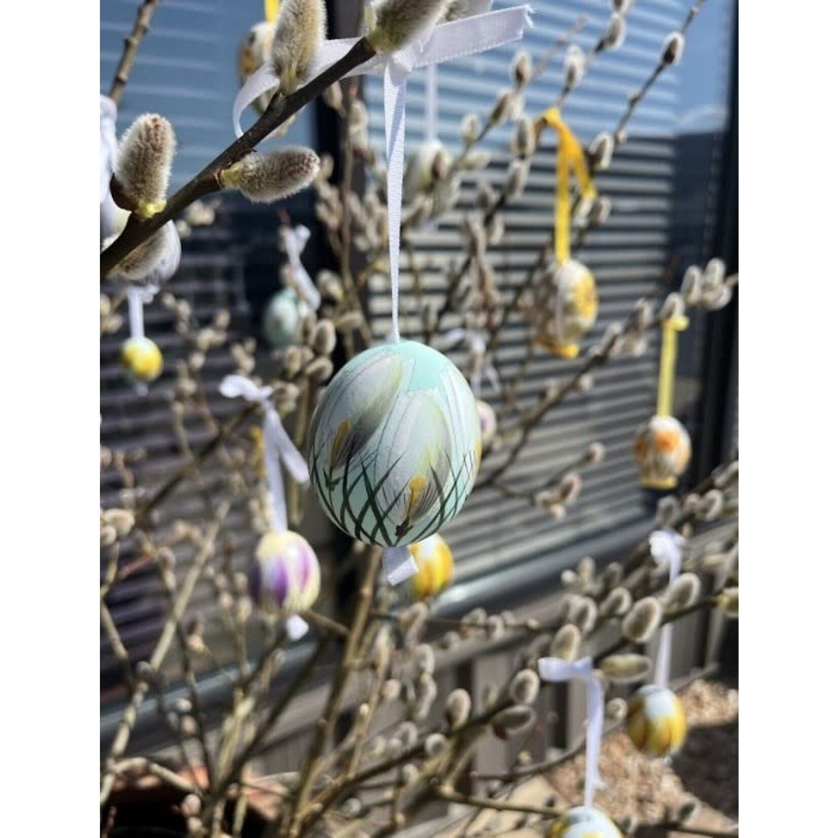 Peter's Seasons Hand Painted & Decorated Real Easter Egg