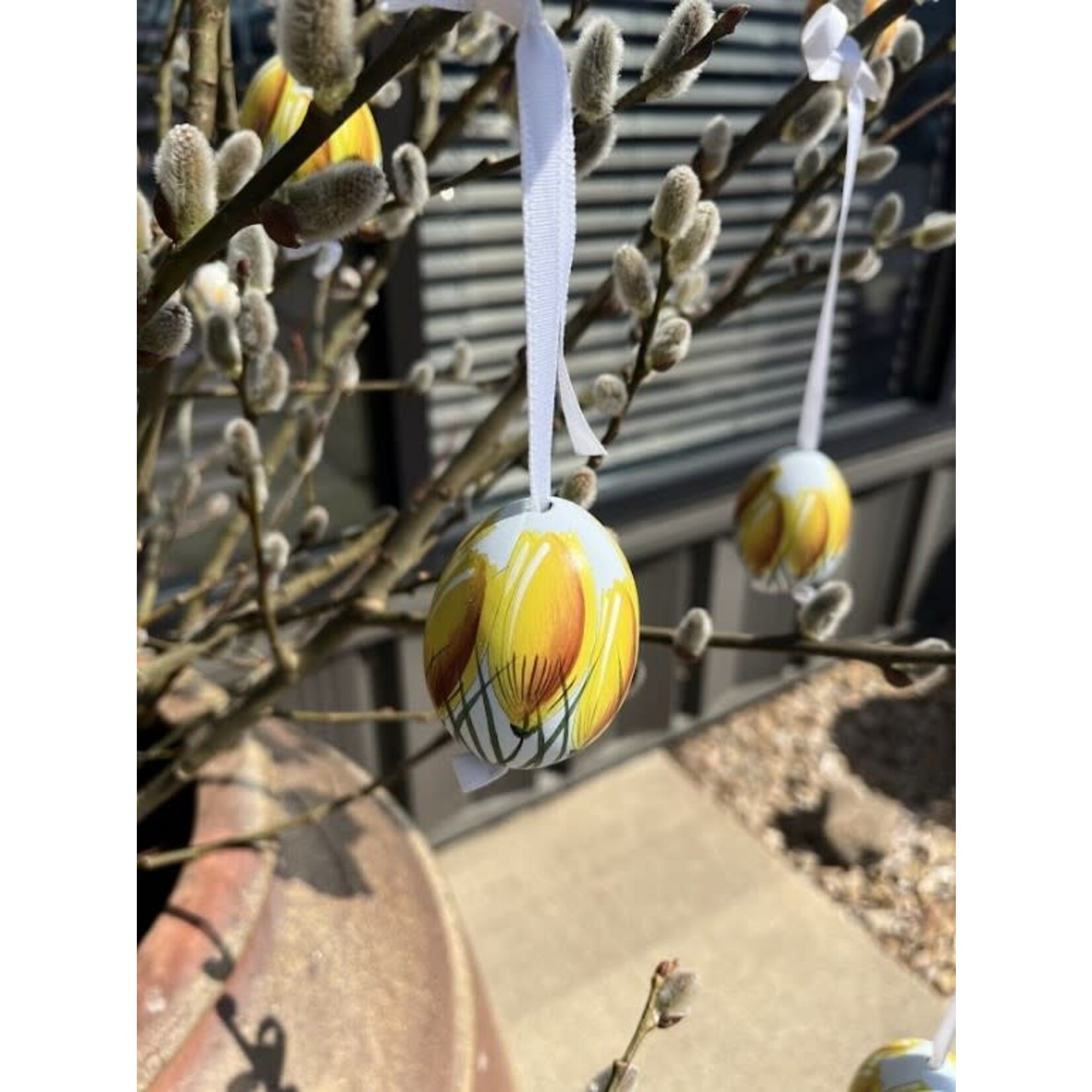 Peter's Seasons Hand Painted & Decorated Real Easter Egg