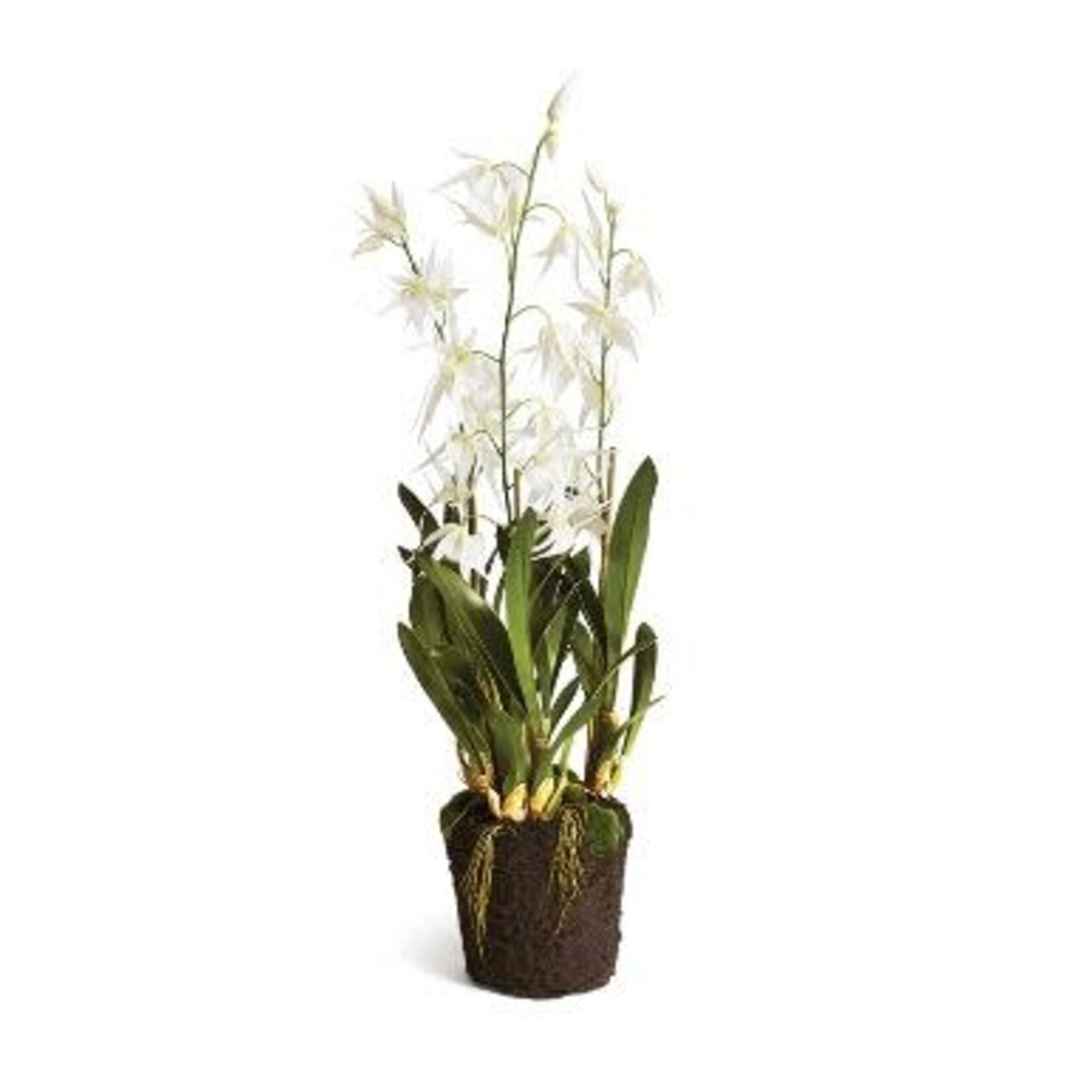 Napa Home and Garden Spider Orchid Drop In 44"
