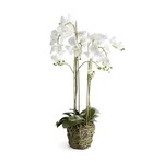 Napa Home and Garden Phalaenopsis Orchid Drop in 44"