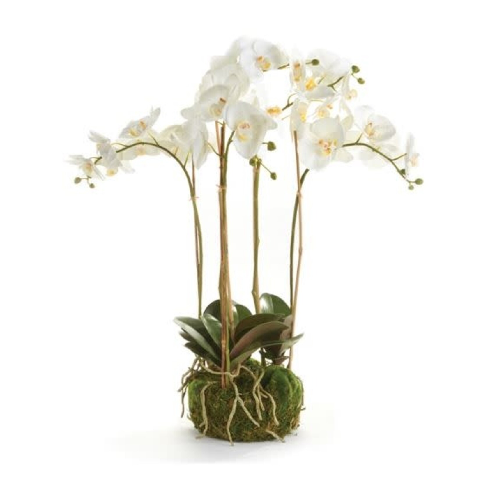 Napa Home and Garden Phalaenopsis Orchid Ball Drop in 25" White