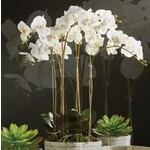 Napa Home and Garden Phalaenopsis Orchid Ball Drop in 25" White