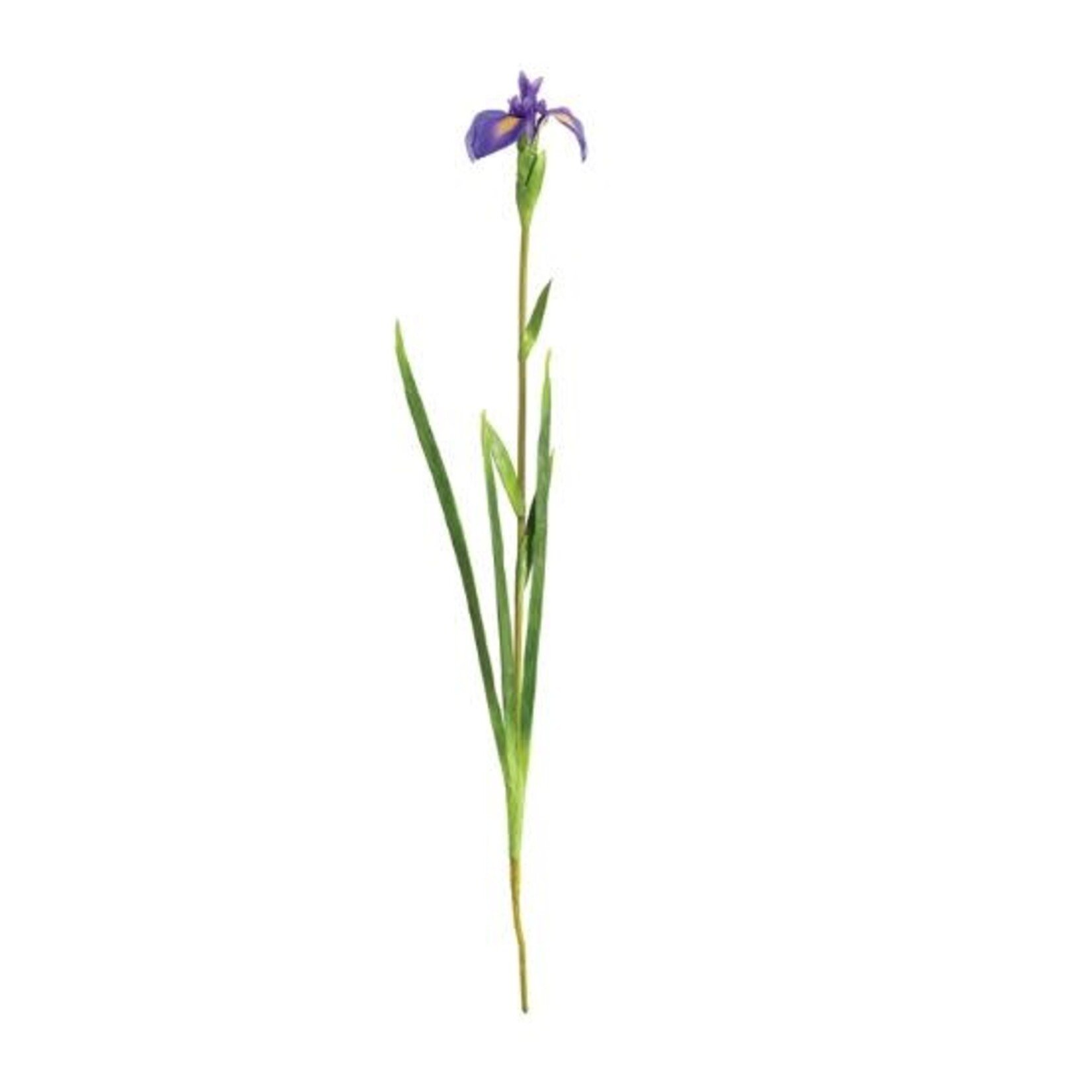 Napa Home and Garden Dutch Iris Faux Stem 35" Purple