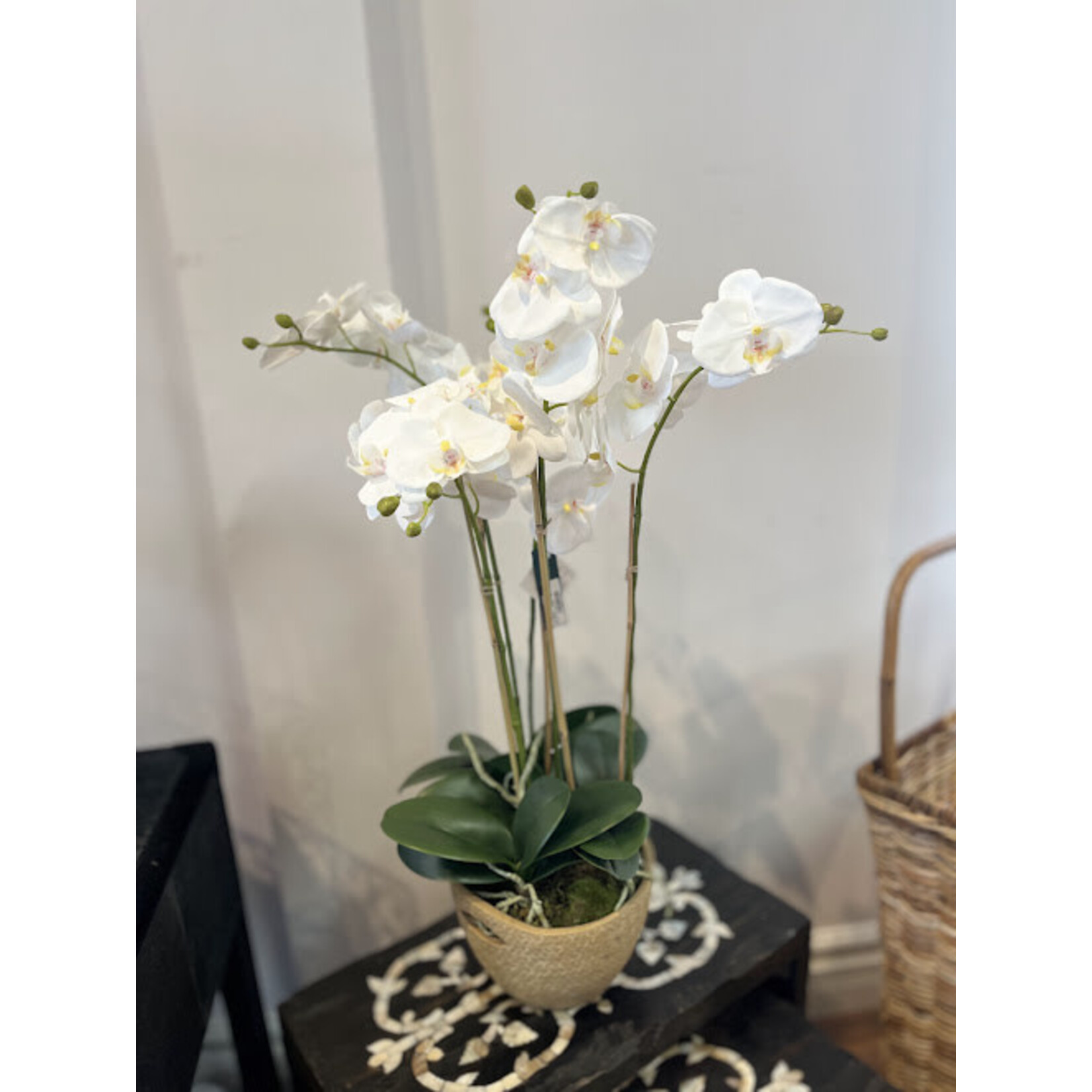 Napa Home and Garden Phalaenopsis Orchid Ball Drop in 25" White