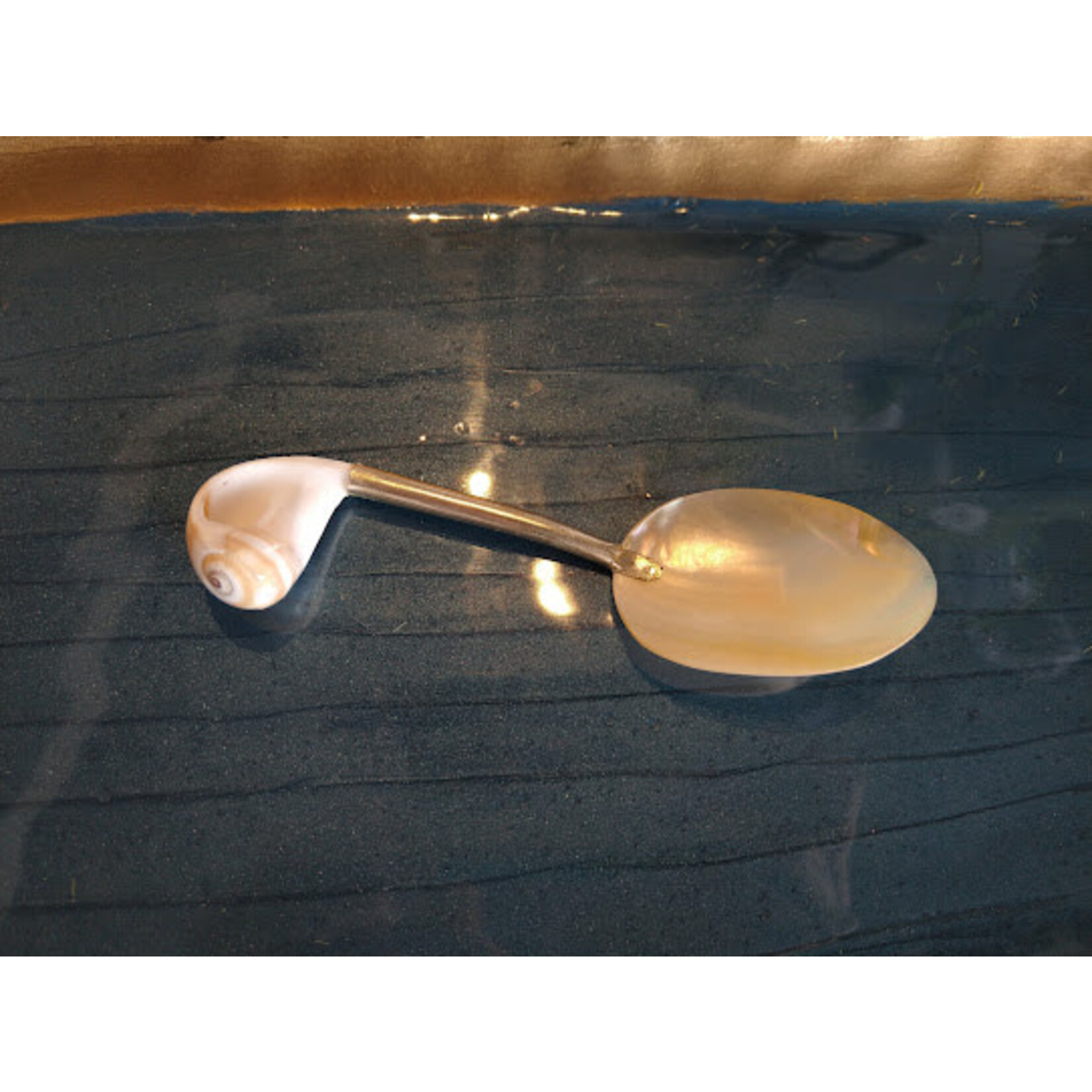 Two's Company Fancy Mother of Pearl Serving Spoon
