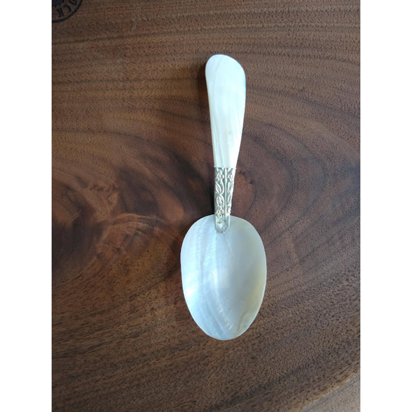 Two's Company Fancy Mother of Pearl Serving Spoon