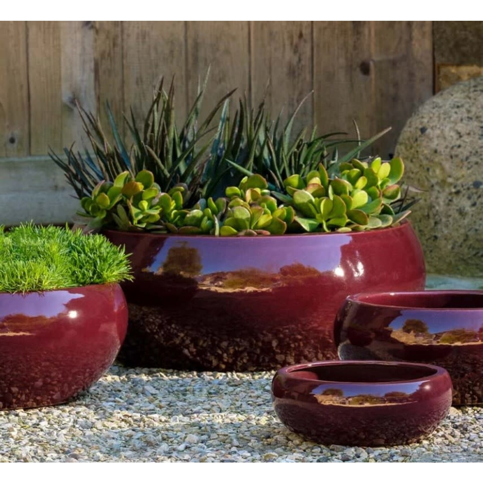 Campania Sasha Plum Burgundy Glazed Terracotta Planter