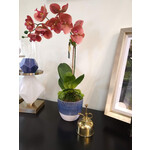 Carole Stupell LTD Brass Plant Mister