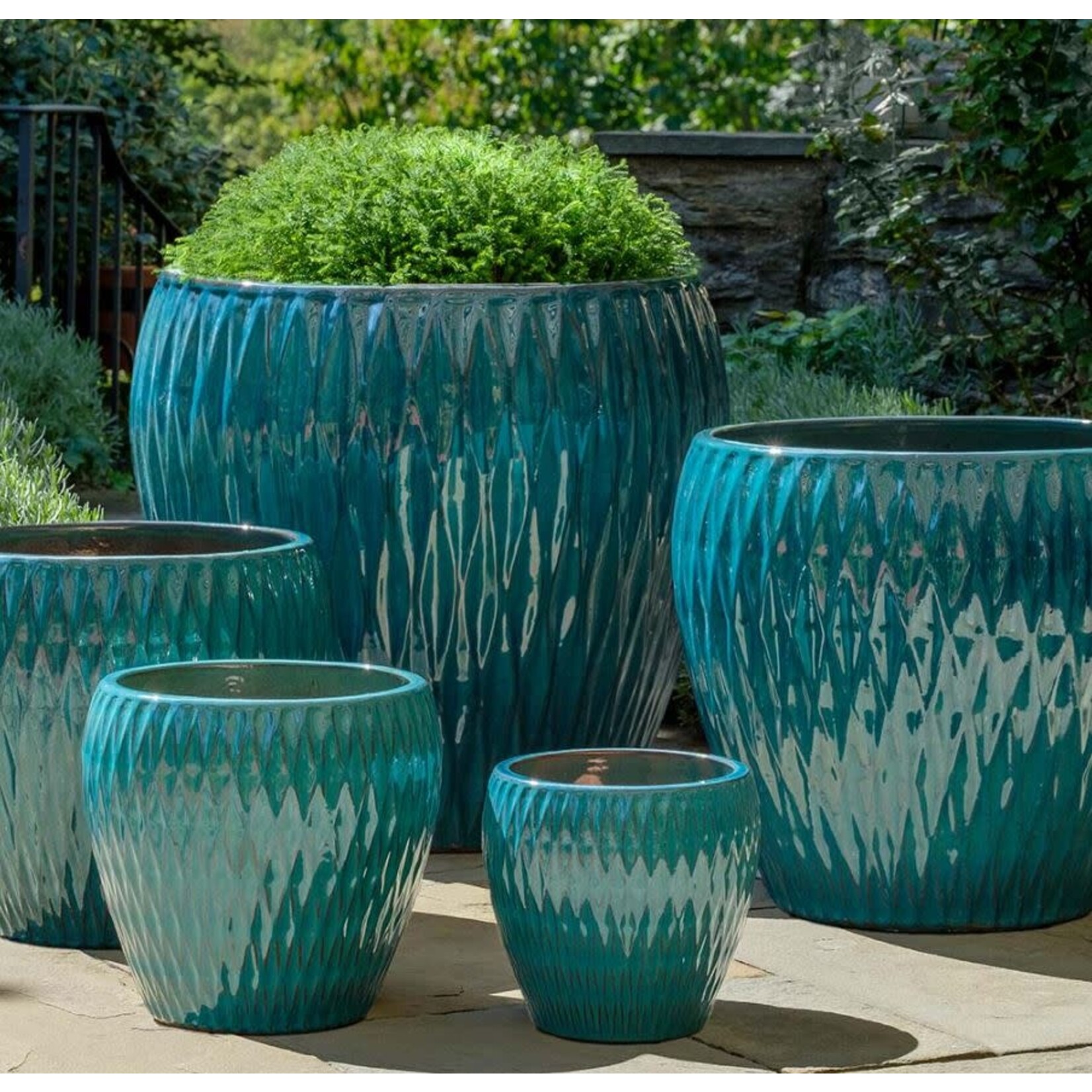 Campania Harlequin Planter