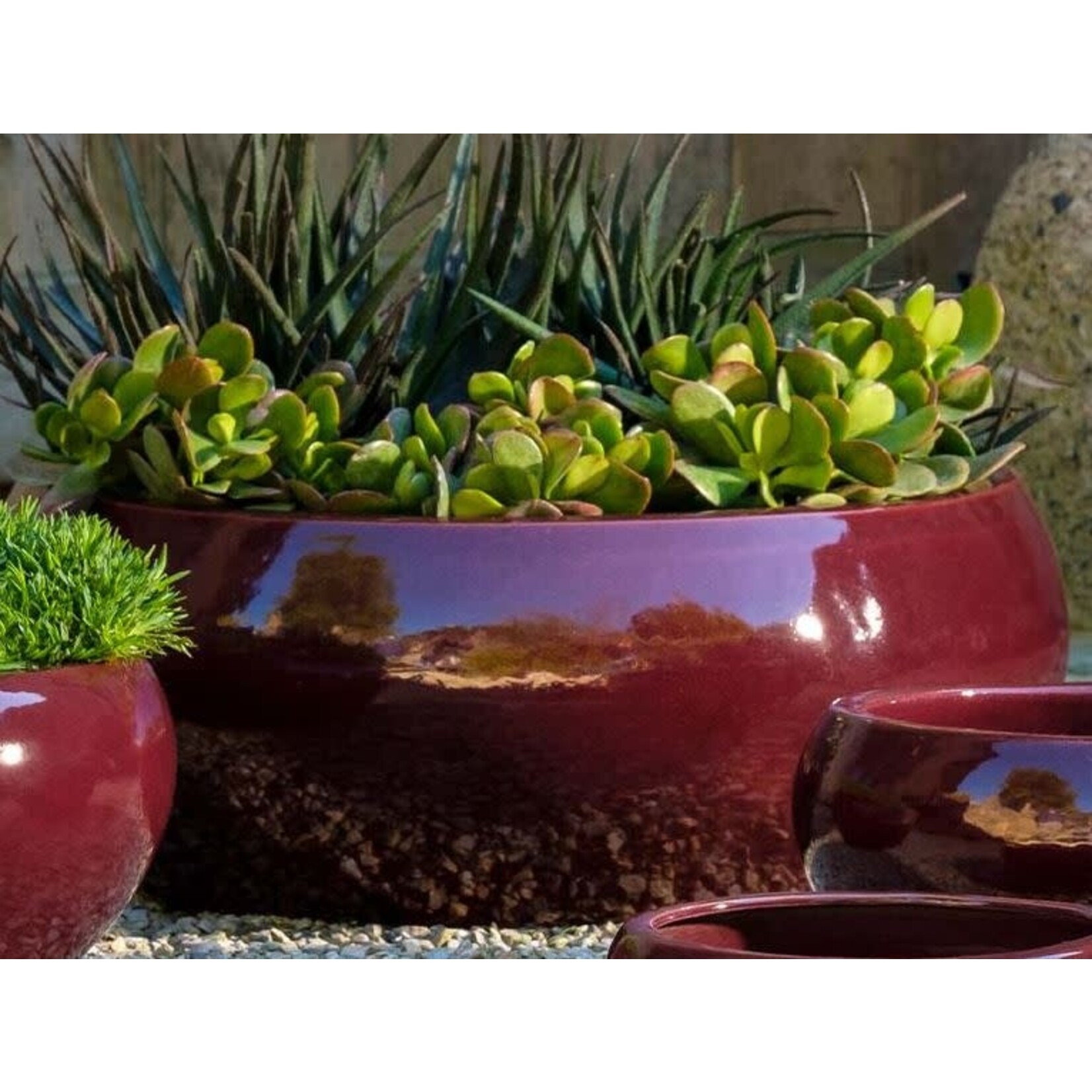 Campania Sasha Plum Burgundy Glazed Terracotta Planter