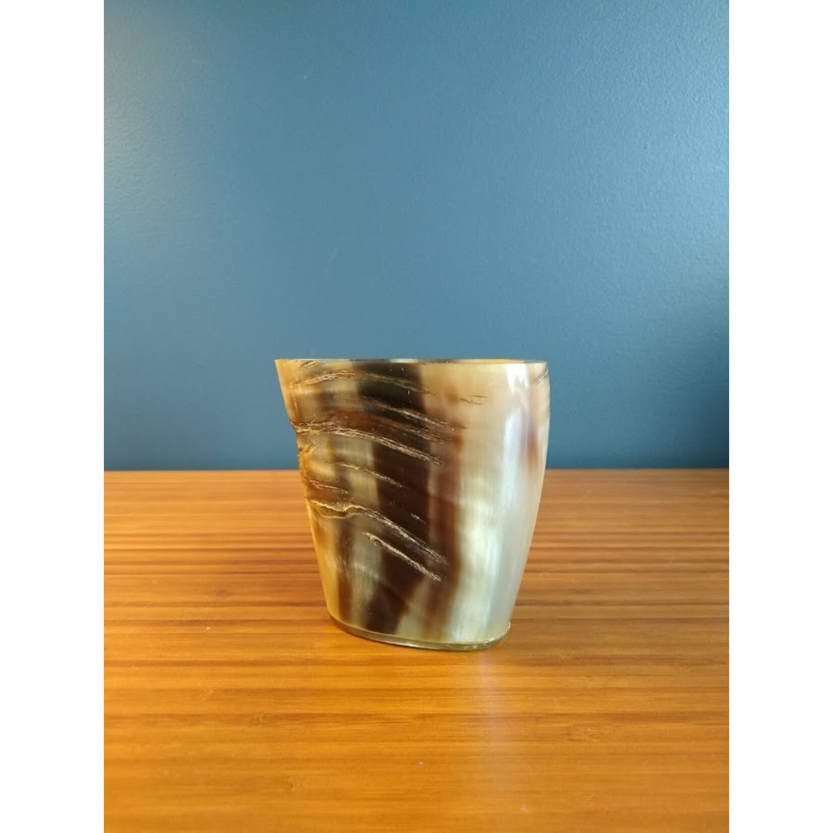 Carole Stupell LTD Natural Polished Water Buffalo Horn Large Pencil Cup