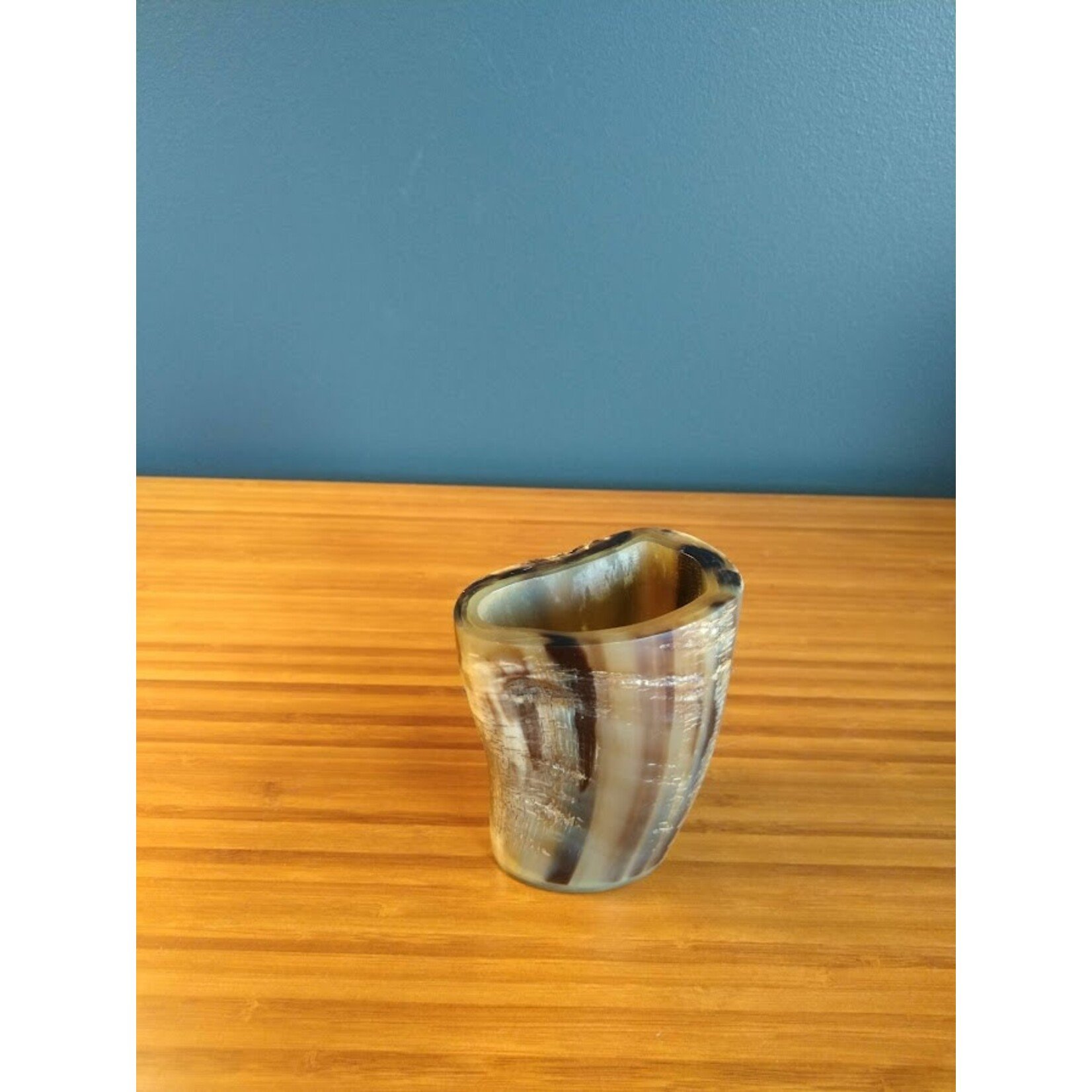 Carole Stupell LTD Natural Polished Water Buffalo Horn Small Pencil Cup