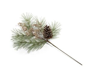 pine  zodax-needle-pin-tree-branch-