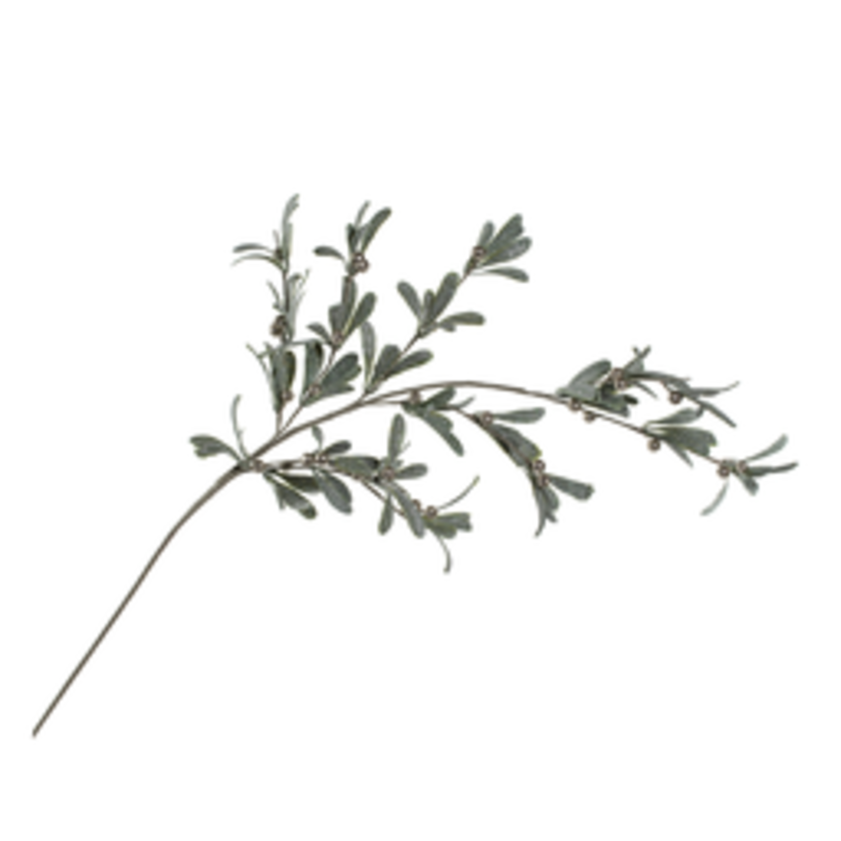 Zodax Olive and Berry Branch Collection